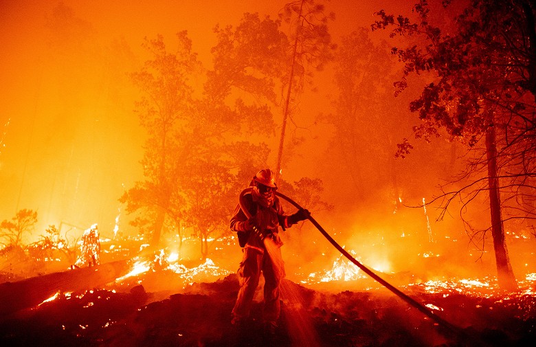 edelson_fire_010.jpg
