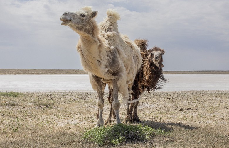 babajanyan_aralsea_020.jpg