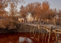 babajanyan_aralsea_058.jpg