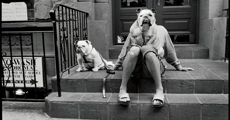 アート・デザイン・音楽 Elliott Erwitt Personal Best Personal Best – Visa pour l'image
