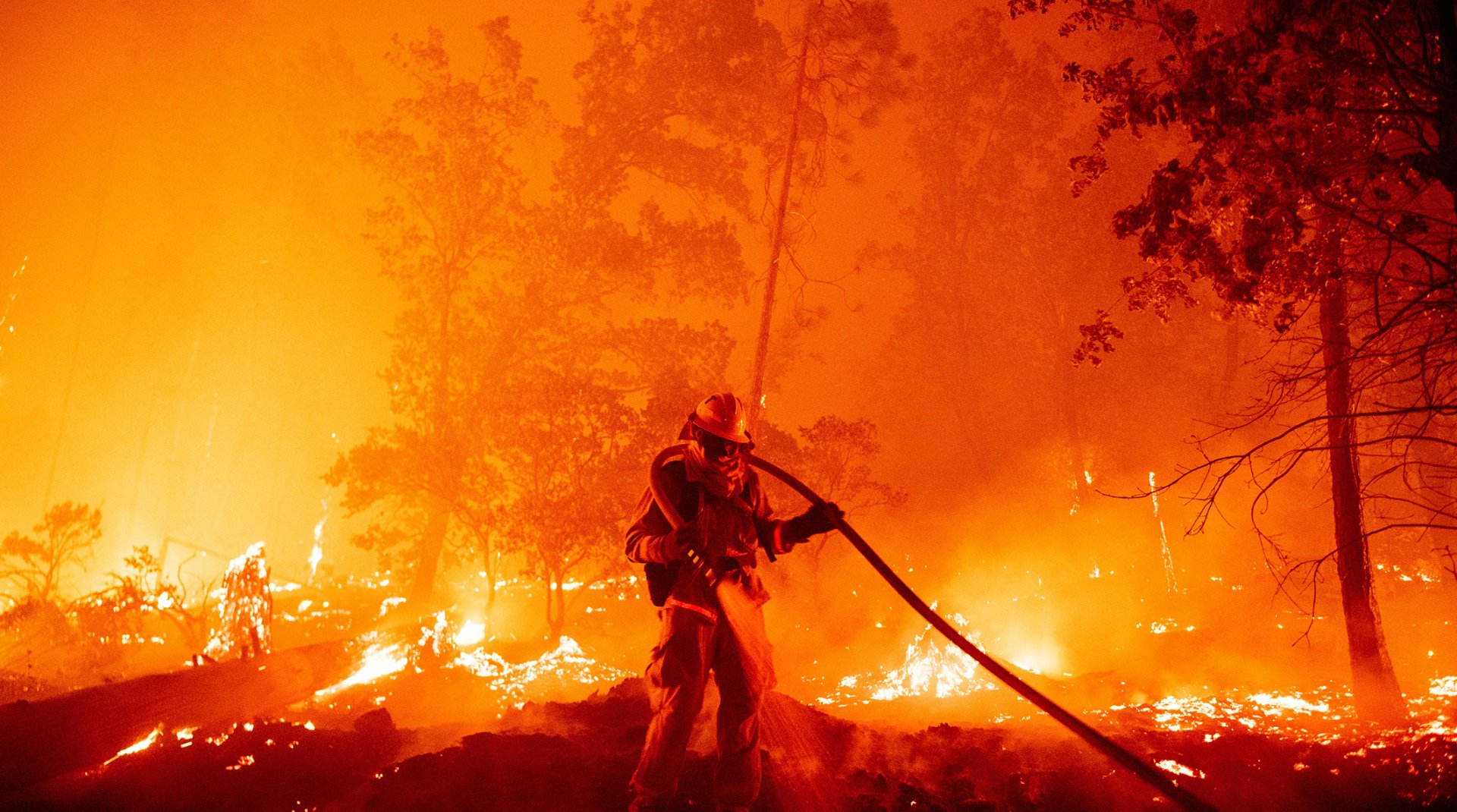 edelson_fire_010.jpg