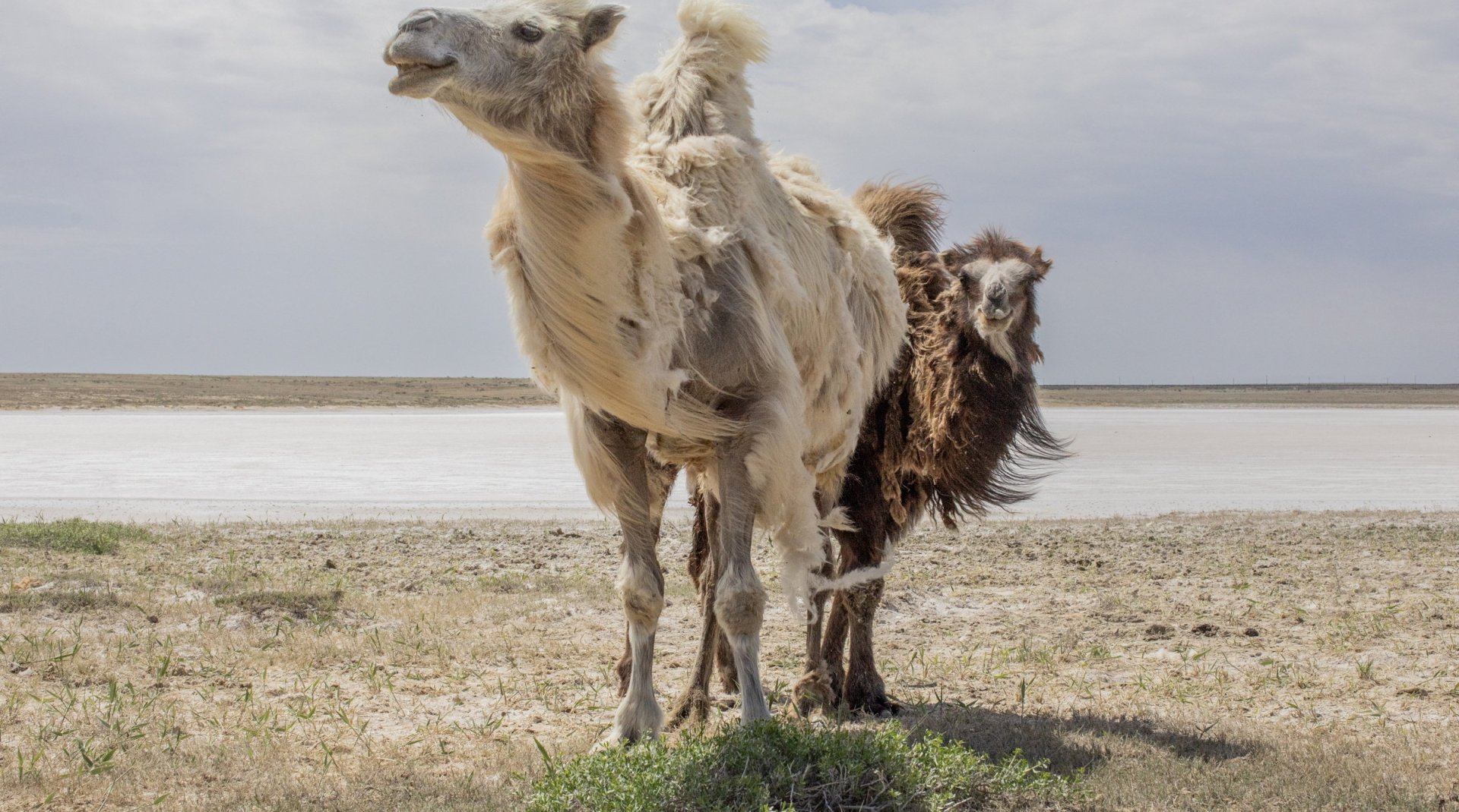 babajanyan_aralsea_020.jpg