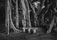 rijasolo_madagascar_012.jpg