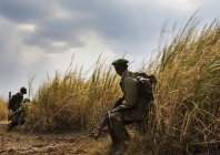 stirton_virunga_139.jpg