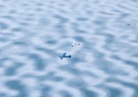 johnson_alaskanpilots_054.jpg
