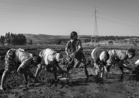 canneri_women_050.jpg