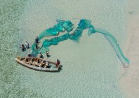steinmetz_fishy_001.jpg