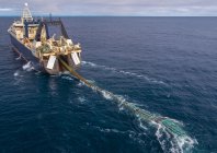 steinmetz_fishy_004.jpg