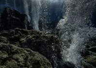 rosenfeld_ocean_002.jpg