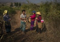modola_myanmar_052.jpg