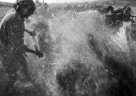 richards_unknown_063.jpg