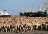 abdiwahab_020.jpg