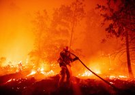 edelson_fire_010.jpg