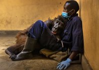 stirton_virunga_030.jpg