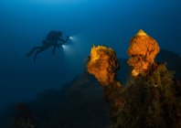 rosenfeld_ocean_034.jpg