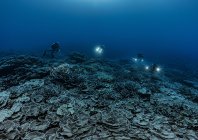 rosenfeld_ocean_036.jpg