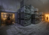 steinmetz_fishy_007.jpg