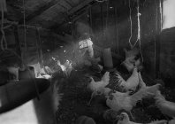 richards_unknown_023.jpg