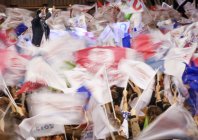 coutausse_frenchpolitics_017.jpg