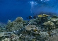 rosenfeld_ocean_023.jpg