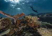 rosenfeld_ocean_028.jpg
