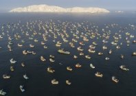 steinmetz_fishy_023.jpg