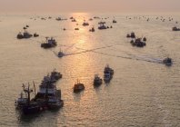 steinmetz_fishy_025.jpg