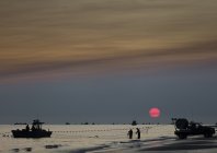 steinmetz_fishy_026.jpg