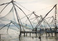 steinmetz_fishy_029.jpg
