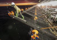 steinmetz_fishy_031.jpg