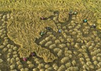 steinmetz_feedplanet_005.jpg