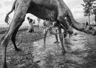 richards_unknown_064.jpg