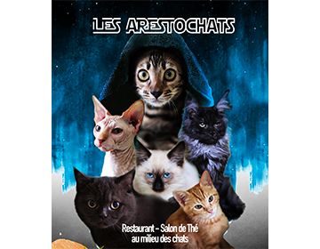 arestochats_bon.png