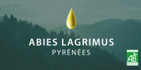 abies_lagrimus_72_dpi_copie.png