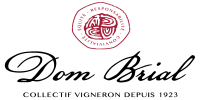 logo_dom_brial_800400_72_dpi.png