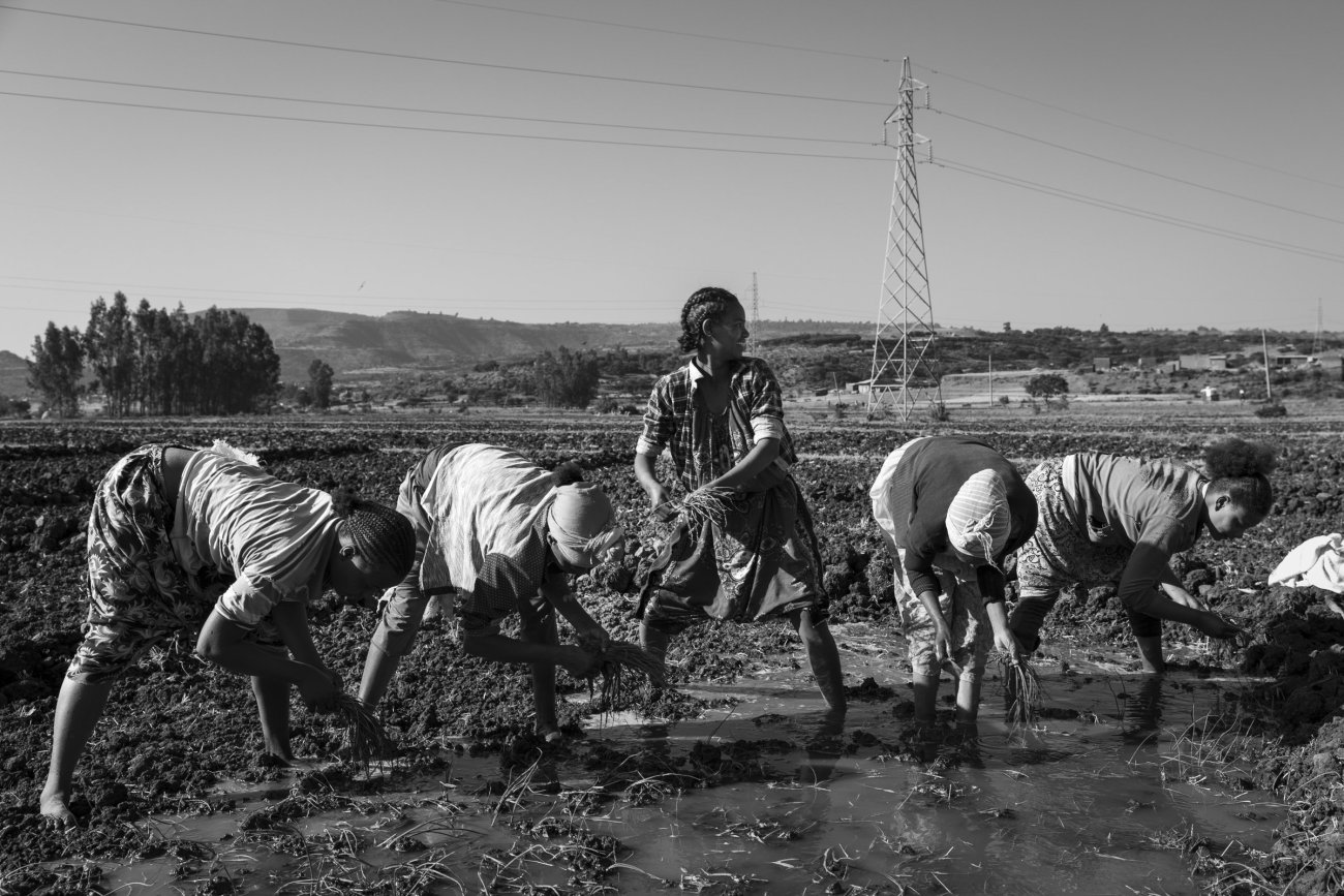 canneri_women_050.jpg