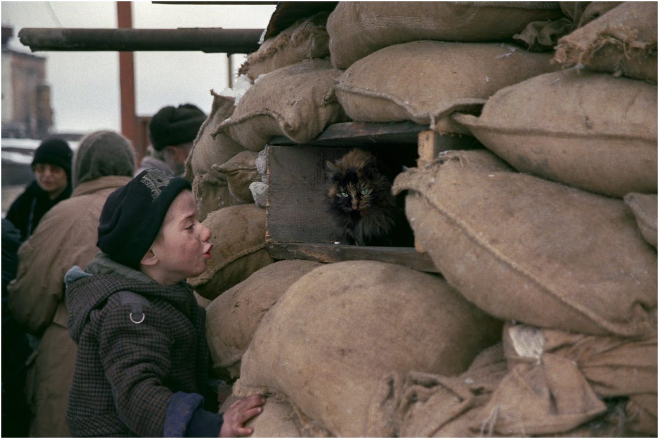 maximishin_russie_205.jpg