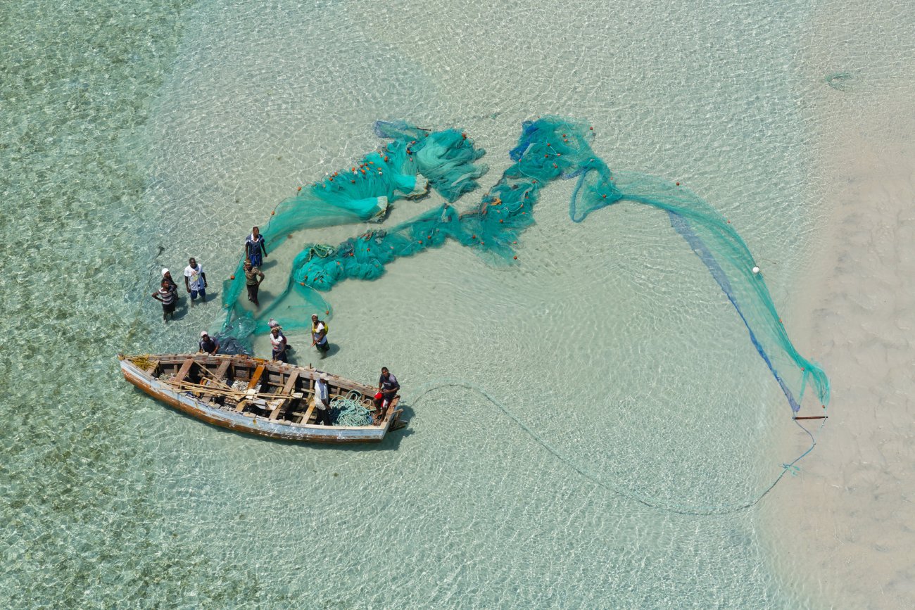 steinmetz_fishy_001.jpg