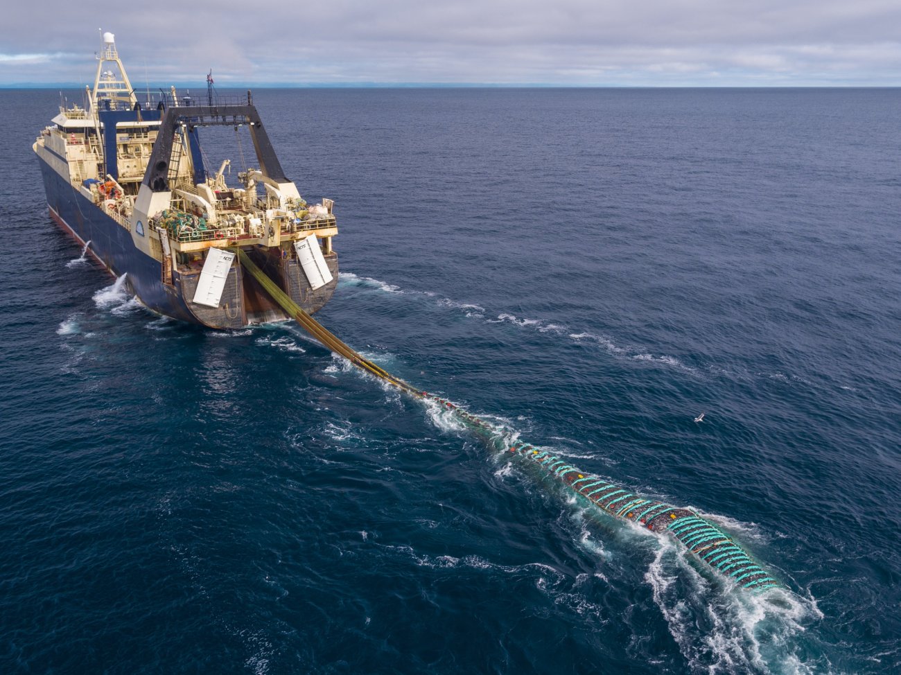steinmetz_fishy_004.jpg
