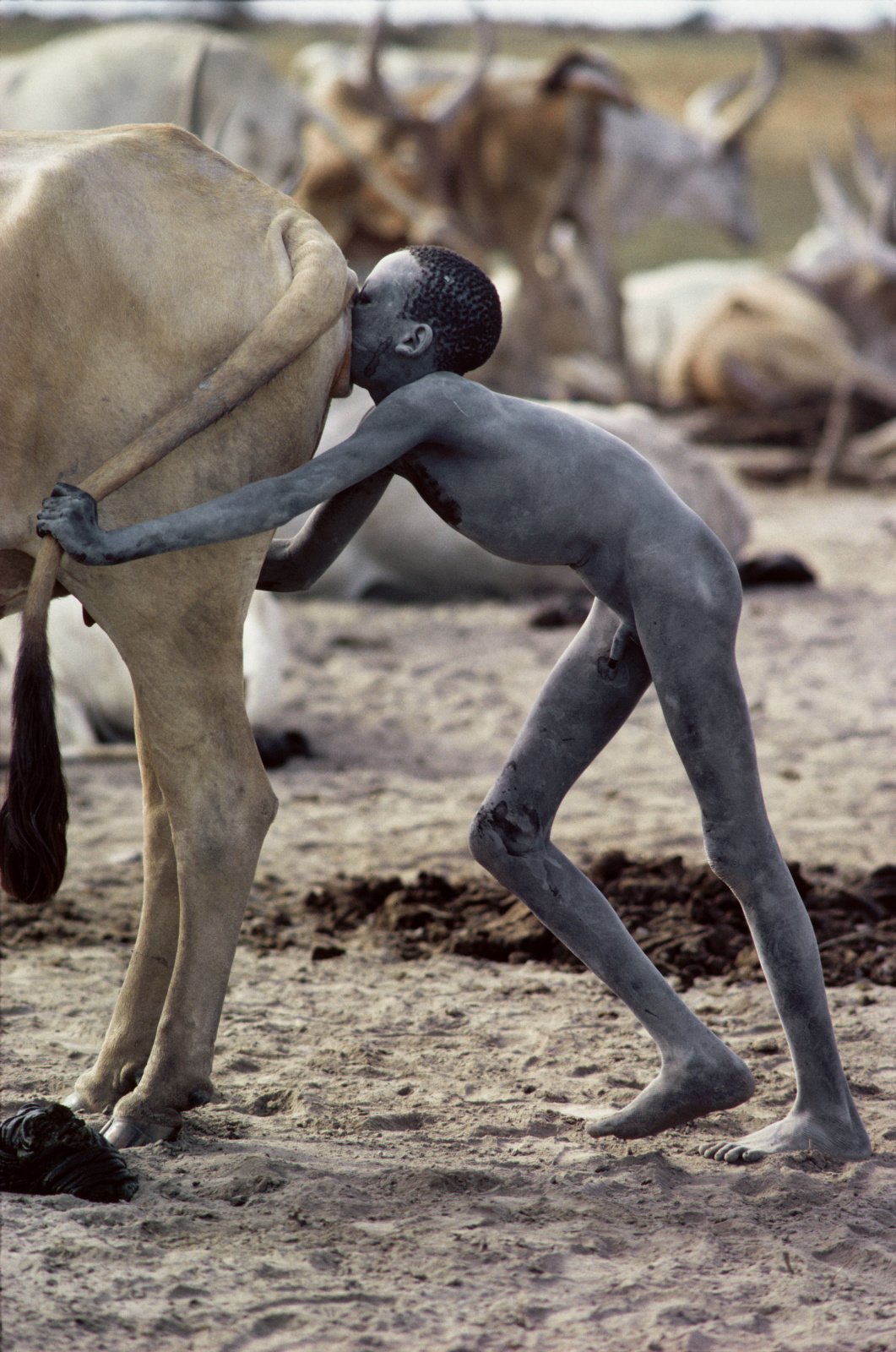 Le Plus Gros Vagin Du Monde