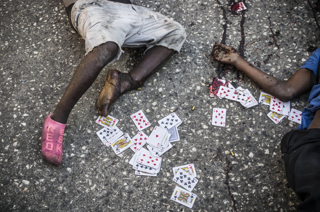 fohlen_gangshaiti_040.jpg