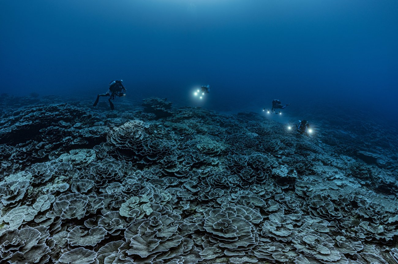 rosenfeld_ocean_036.jpg