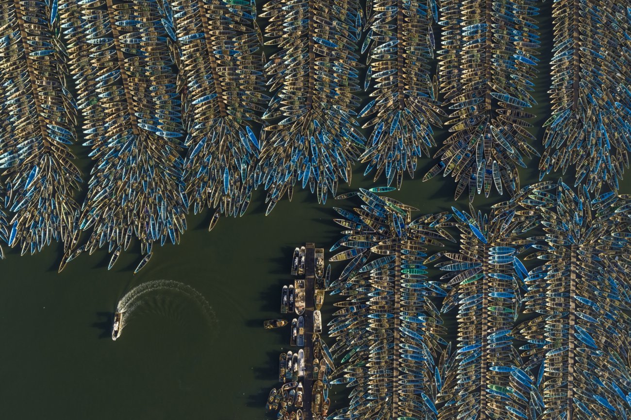steinmetz_fishy_015.jpg