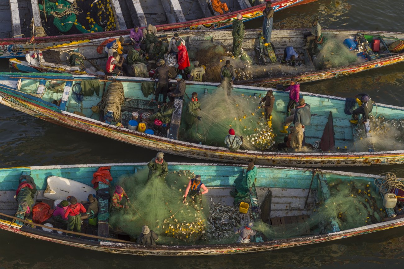 steinmetz_fishy_018.jpg