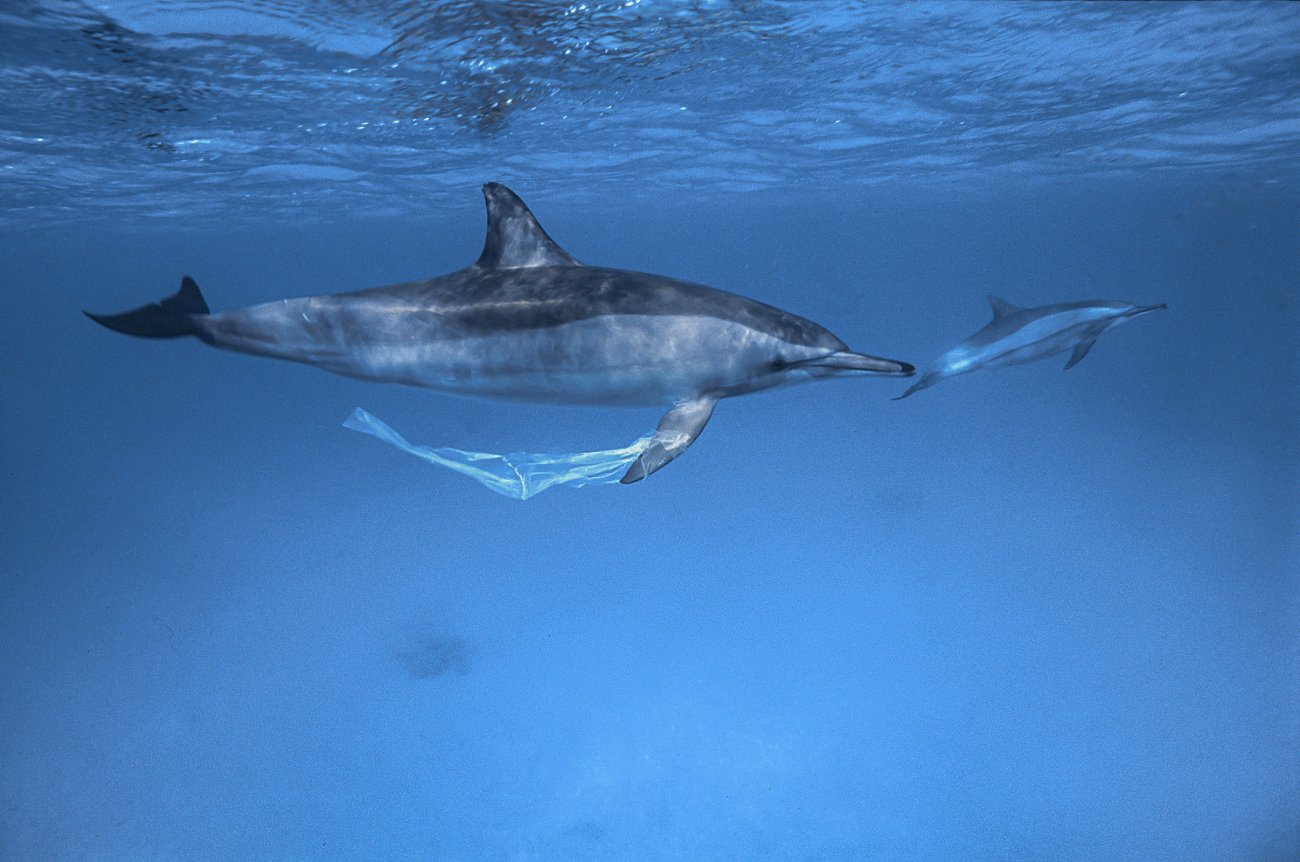 rosenfeld_ocean_018.jpg