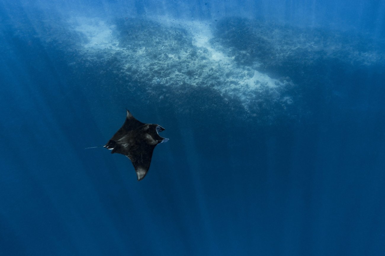 rosenfeld_ocean_022.jpg