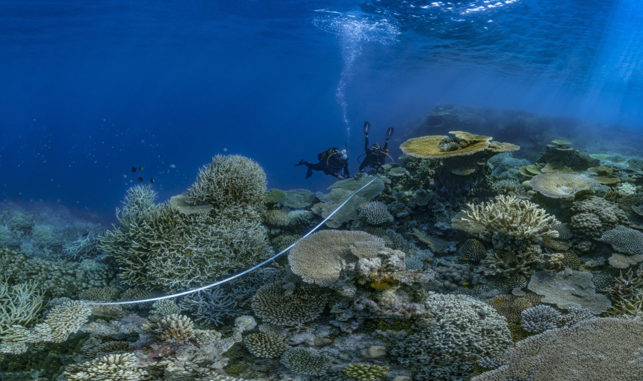 rosenfeld_ocean_023.jpg