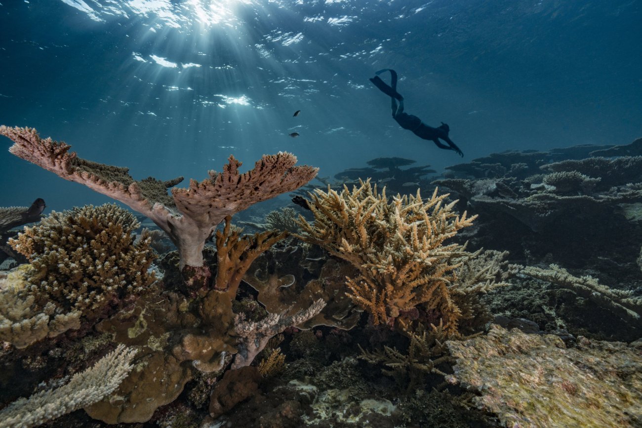 rosenfeld_ocean_028.jpg