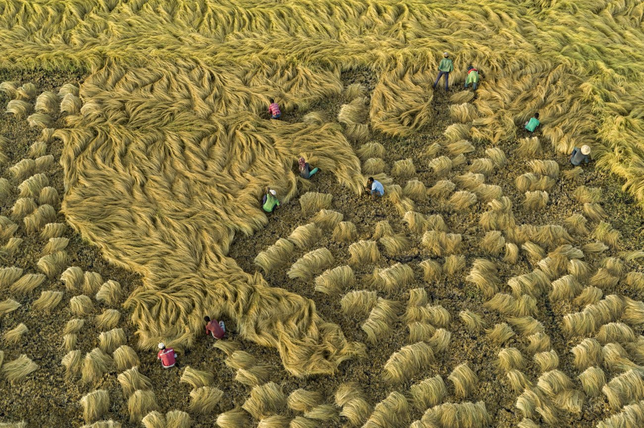 steinmetz_feedplanet_005.jpg
