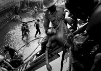 abdullah_dhaka_002.jpg